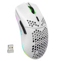 HXSJ T66 RGB Wireless Gaming Mouse